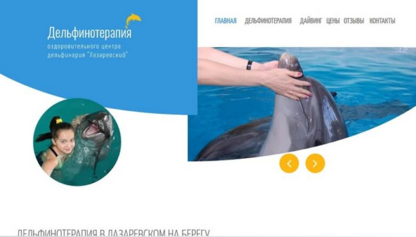 Запуск сайта-визитки