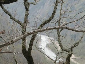 Экскурсия "Плато Калежтам" Экскурсия "Плато Калежтам"