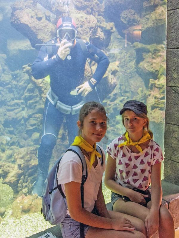 Скидка в океанариум - 50 руб от цены билета Скидка в океанариум - 50 руб от цены билета