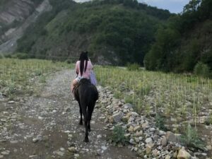 Прогулки на лошадях в горах Прогулки на лошадях в горах
