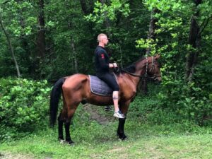 Прогулки на лошадях в горах Прогулки на лошадях в горах