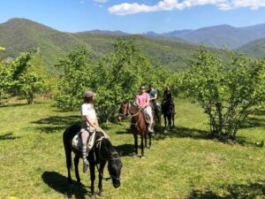 Прогулки на лошадях в горах Прогулки на лошадях в горах