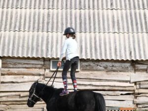 Прогулки на лошадях в горах Прогулки на лошадях в горах