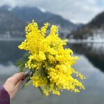 Экскурсия - Золотое кольцо Абхазии, из Сочи